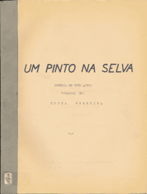 Um pinto na selva